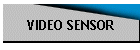 VIDEO SENSOR